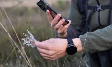 Workshop veren herkennen