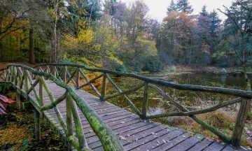 Het geheim van Elfenbergen