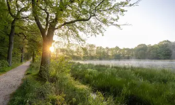 Dauwtrappen op De Slotplaats