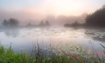 Ochtendwandeling in het Dommeldal