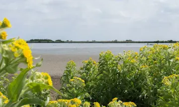 Weidevogelvaartocht Waterland