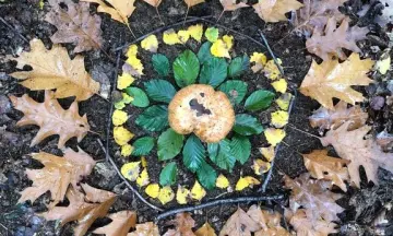 OERRR Creatieve gezinswandeling in de Dintelse Gorzen