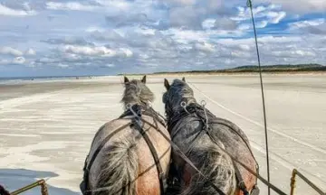 Jutten met de huifkar op Schiermonnikoog