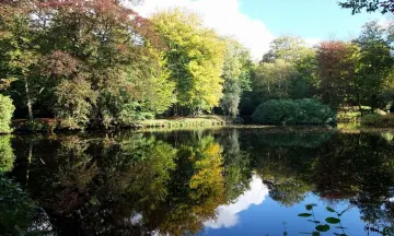 Vroege vogelexcursie Landgoederen
