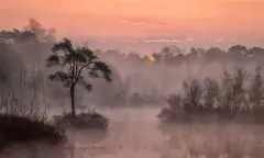 Slapen bij de Brabantse Vennen