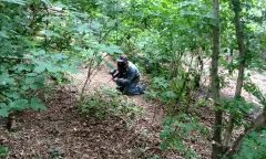 Verstoppen in het Bos