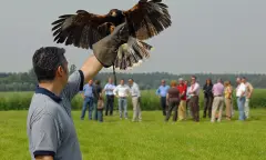 Groepsfoto met roofvogel