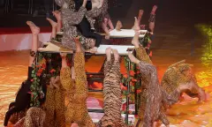 circus dieren