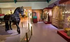 Paarden in het museum