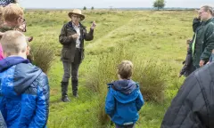 Wandeling met de boswachter Dwingelderveld