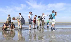 Kwelder, Wad en Lepelaars - De Schorren Texel