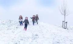 Kom naar het Twinkelende Winterfeest in het Dwingelderveld