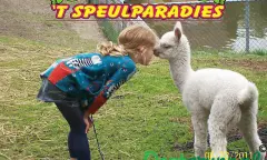 Speelparadijs voor kinderen