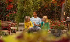 Zomer in Pantropica