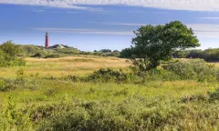 Struinen langs kwelder, duin en strand