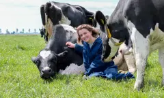 koe en vrouw