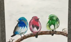 vogeltjes