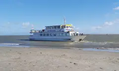 Zeehondentocht met zandplaatexcursie (Silverwind)