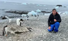 Marcel Haenen tussen de ezelspinguïns op Antarctica.