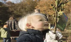 Boomophaaldag van OERRR op de Sint-Pietersberg in Maastricht