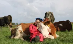 op het platteland knuffelen met koe