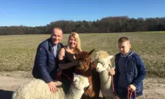 Familie met alpaca's