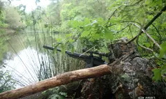 Man verscholen in het bos