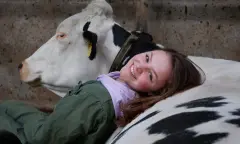 Knuffelen met koe