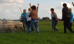 Bezoekers bezig met de activiteit