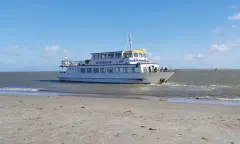 Zeehondentocht met zandplaatexcursie (Silverwind)