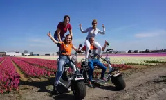 Bloemenvelden met e-choppers