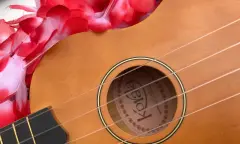 Ukelele Close Up