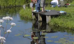 OERRR waterbeestjes zoeken