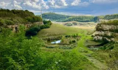 Excursie door de ENCI-groeve in Maastricht: Ontdek de Nieuwe Natuur