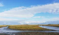 Exclusieve eilandwandeling op Schiermonnikoog naar het baken Willemsduin