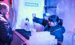 Bezoekers icebar