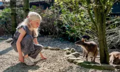 Dierentuin