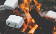 Marshmallows op kampvuur