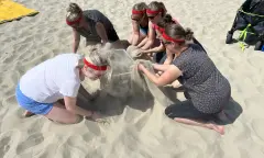 Het leukste stranduitje