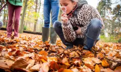 OERRR Wildwandeling Dwingelderveld 9-12 jaar