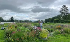 Moestuin de Haar