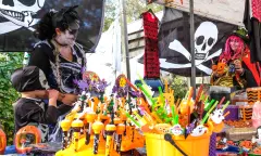 Enge Halloweenfair West-Friesland