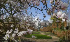 Bloesem voor het museum