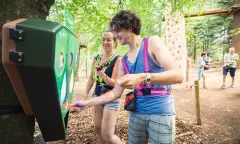 Spellen in het Bos