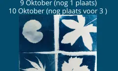 Workshgp Cyanotype Utrecht