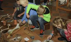 Kinderen actief bezig in museum