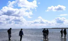 wadlopen bij Schiermonnikoog