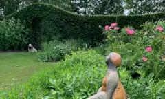 Tuinkamer met bloemenborders en beeldje