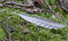 OERRR Sporen zoeken met de boswachter in 's-Graveland