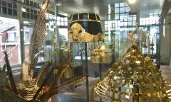 Goud in het museum